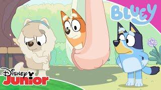  Bietul gândăcel | Blue | Disney Junior Romania