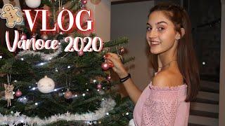 VLOG Z VÁNOC 2020 | Amy's World