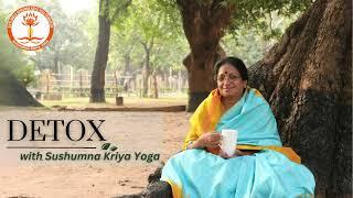 Detox promo 2024 | Divya Babaji | sushumna kriya yoga