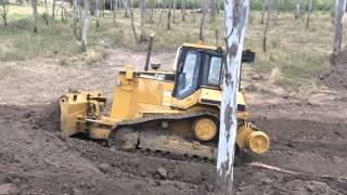 cat D5M XL at Raglan