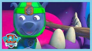 UNDER WATER WHALE RESCUE!   | Paw Patrol | WildBrain Kids