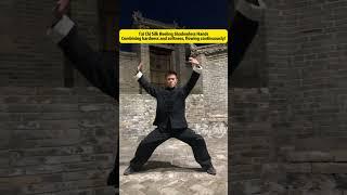 Tai Chi Silk Reeling Shadowless Hands#taichi  #kungfu  #martialarts #henan