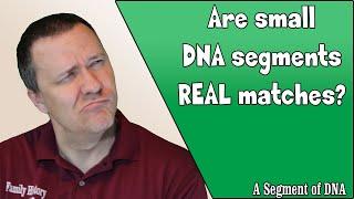 Are small cM matches are FALSE MATCHES?  | Genetic Genealogy Explained