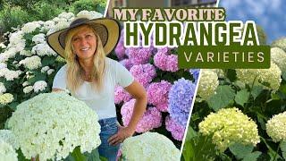 My Favorite Hydrangea Varieties