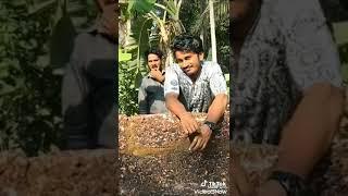 Kerala boyvarun babu TikTok videos Vera level acting