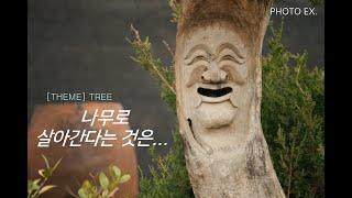 한 세상, 나무로 살아간다는 것은 [THEME] Tree_나무