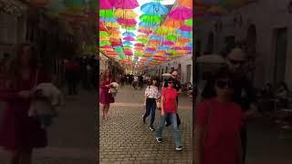 Romania Summer Time ️️️️️ #romania #timisoara #travel #beautiful #summer #beautiful #europe