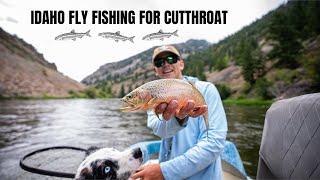 FLY FISHING IDAHO CUTTHROAT - Floating one of the Most Beautiful Rivers in the State