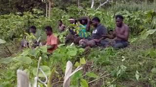 Fiji Farmers  gospel male voice 