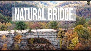 Natural Bridge State Resort Park - Kentucky (4k)