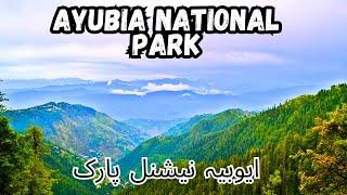 ayubia | ayubia national park | ayubia murree | ayubia chair lift | ayubia tunnel | moto tunnel