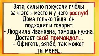 Как тёща увидела распухший у зятя! Сборник свежих анекдотов! Юмор!