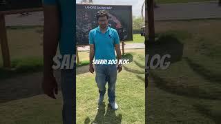 Safari zoo vlog #likesharesubscribe #2024 #lahore #anothervlog #sarmad