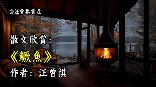 經典散文欣賞《鱖魚》作者：汪曾祺 #文學 #讀書 #閱讀 #asmr #曆史 #故事 #工作氛圍 #有聲書 #學習氛圍