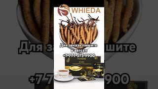 #WHIEDA Продукция компании. Кофе с коллагеном и кордицепсом.
