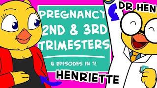 Second & Third Trimesters | Pregnancy Compilation | Animation by Dr Hen Says