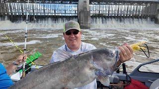 Insane Catfishing at a Huge Dam!  (Day 1)