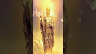 나무아미타불 관세음보살 소원을 꼭 이루시길  #불교신자 #부처님 #불경 #love #buddha #phật #불자  #소원 #불경  #부처 #부처님 #범철스님