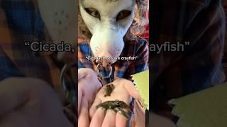 I have like 9 of them { #aquarium #crayfish #strangehuman #copingskills #alterhuman }