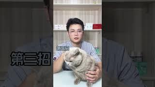 才知道识别猫粮好坏，只需用水一泡⁉️ #养猫知识 #养猫经验分享 #猫粮