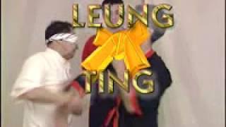 Wing Tsun, Wrong or Right? By Leung Ting