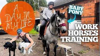 A Day in the Life of a Self Employed Equestrian Vlog | Training a Young Horse | Working from Home