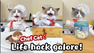 Meow Chef: Life Hack Galore! | That Little Puff