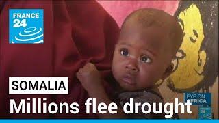 Somalia drought and conflict forces 3.8 million to flee • FRANCE 24 English