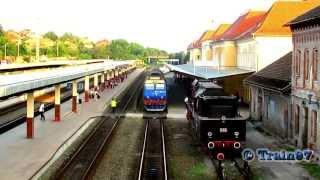 Mega Horns By Jimmy 65-1363-4 in Oradea Station (21 06 2013)