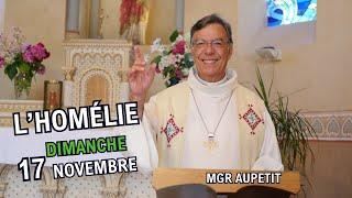 Homélie Mgr Aupetit 17 nov 2024