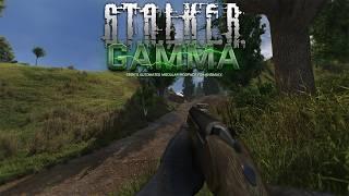 An ADHD Guide to S.T.A.L.K.E.R GAMMA