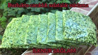 Buzlukta Salatalık Nasıl Saklanır/Buzlukta Cacıklık Salatalık  Kışlık Buzluk Hazırlıkları