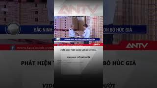 Phát hiện kho hàng có hơn 50.000 lon bò húc nhái RedBull #antv #shorts #redbull