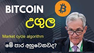 BTC උගුල,මේ පාර අහුවෙනවද?|BTC analysis sinhala