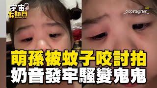 孫被蚊子咬跟阿嬤討拍！奶音發牢騷「變鬼鬼」萌翻@cosmosviral