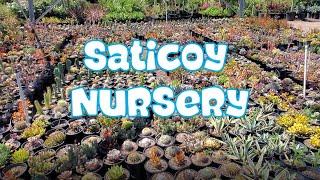 Saticoy Nursery