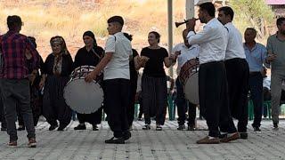 BULAM DÜĞÜNÜNDE YÖRESEL BİR OYUNKOFULU KADINLARIMIZ️​@zerbantv7899 #dance#traditional #halay#