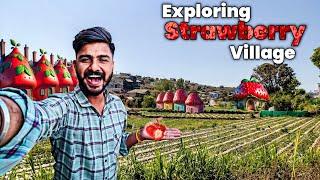 Strawberry Village Bhilar | Exploring Bhilar | Vlogger Veera