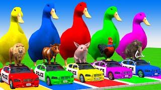 Paint & Animals Cow,Antelope,Chicken,Sheep,Tiger Fountain Crossing Transformation Animal Cartoon