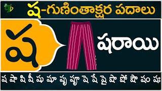 ష గుణింతాక్షర పదాలు | Sha Guninthakshara Padalu | Sha Gunintham padalu in telugu | Telugu Vanam