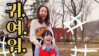 [TWICE] 바보 복자매