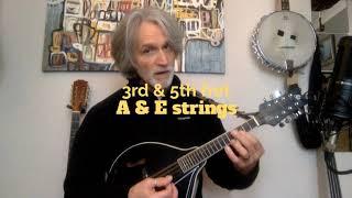 mandolin lessons with Mike Turnbull - beginners double stops on first chords G C D!