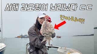 서해 봄 갑오징어낚시 하나만 바꿨더니 엄청나옵니다! 완전 다르네!