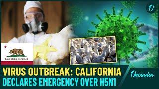 U.S Breaking: Virus Outbreak In California | State of Emergency Declared after 30 Cases Reported