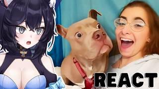 I AM A CAT // Vtuber Reacts to Best Dog Videos of the Decade