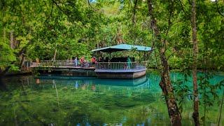 Jungle Cruise at Homosassa Springs Wildlife State Park - Old Florida Attraction & Wild Animal Zoo