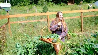 10 Acre Abundance: Huge End of Summer Harvest