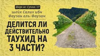 Делится ли действительно таухид на три части? | Шейх Салих аль-Фаузан | Шарх ас-Сунна (17)