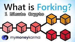 What is Forking? | 1 Minute Crypto | Blockchain Forks Explained | Hard Fork vs Soft Fork