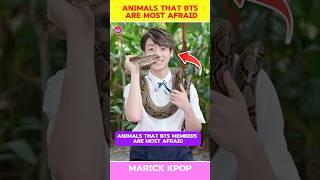 Animals That BTS Members Are Most Afraid  #animals #bts #shorts